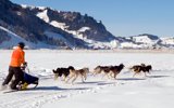 Un'avventura - scoperta che esige una buona condizione fisica ed un'attrazione per la gens canina, erede e guardiana della tradizione Inuit.