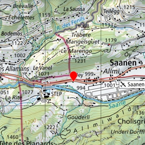 Punto d'incontro a Saanen per un volo in elicottero su misura