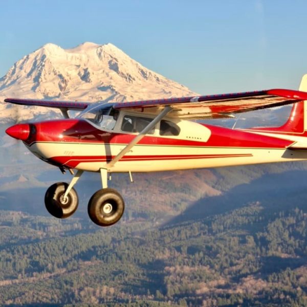 CESSNA 180 per un volo sulle Alpi Bernesi da Épagny