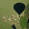 Ballooning in the canton of Neuchâtel