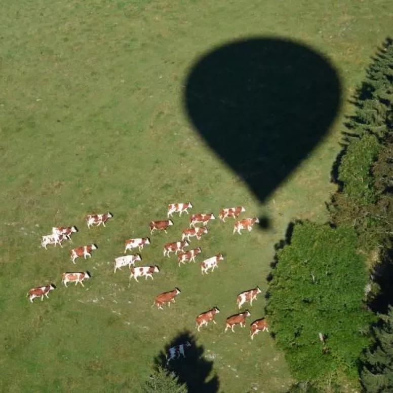Ballonfahrt im Kanton Neuchâtel