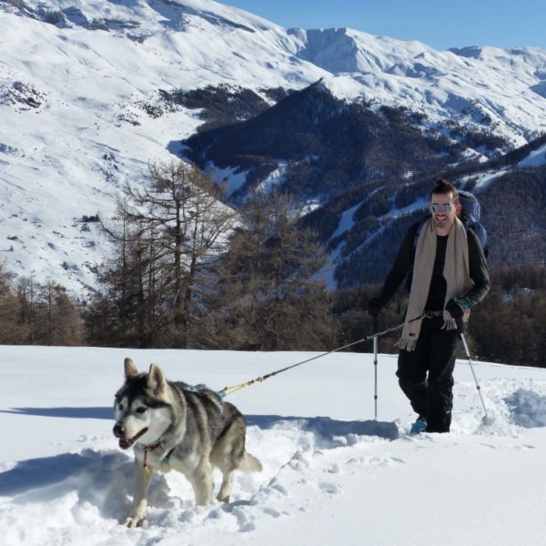 Husky and snowshoes