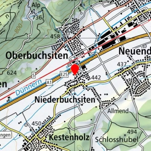 Punto di incontro a Niederbuchsiten per un simulatore di volo Cessna 172