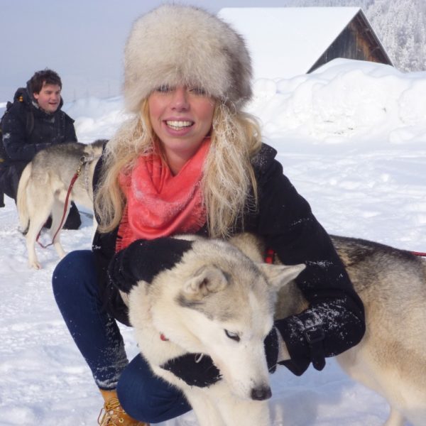 Sled dogs in Wengi